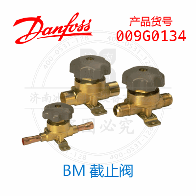 009G0134 009G0134